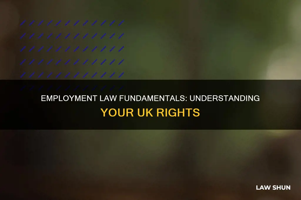 what are the main employment laws in uk