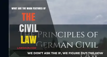Key Features of Civil Law: Understanding Its Core Principles