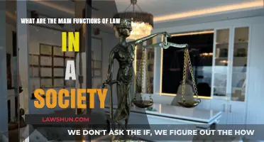 Understanding Law's Role: Key Functions in Shaping Society's Structure