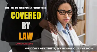 Understanding Key Employment Law Protections: Essential Legal Coverage Explained