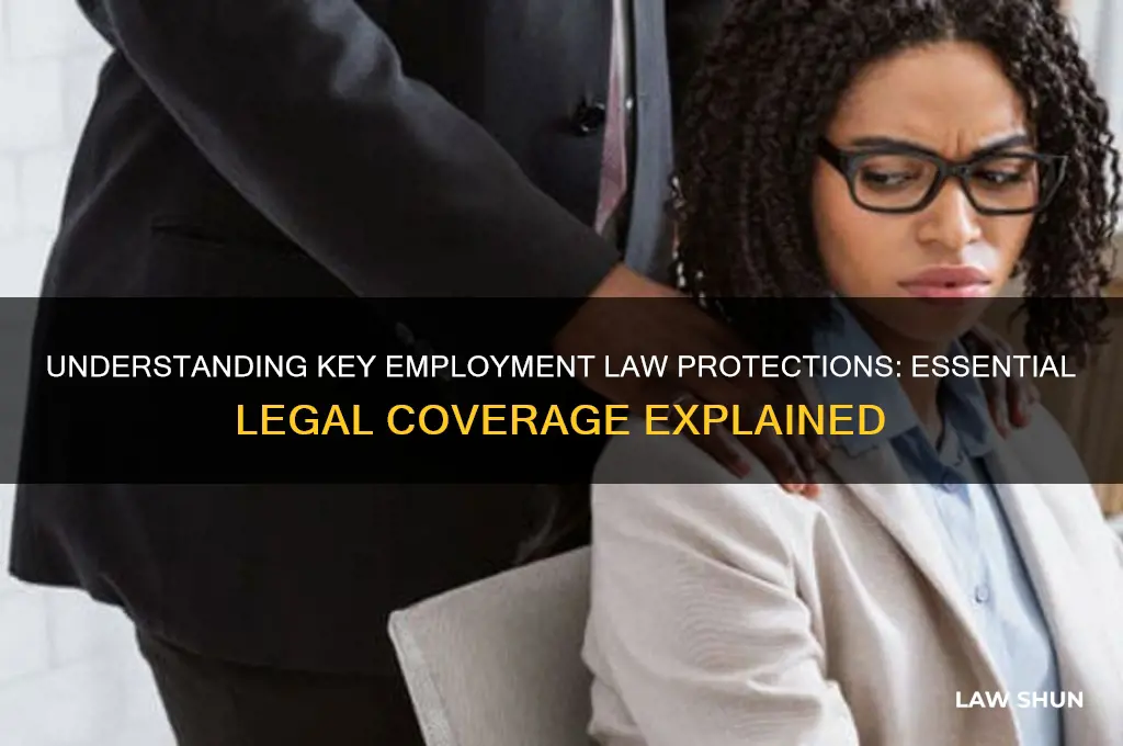 what are the main pieces of employment covered by law