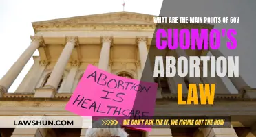 Cuomo's Abortion Law: Main Points Explained