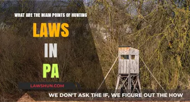 Understanding Pennsylvania's Hunting Laws: Key Regulations and Requirements Explained