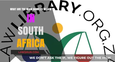 Exploring South Africa's Legal Foundations: Key Sources of Law Revealed