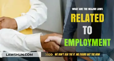 Essential Employment Laws Every Worker and Employer Should Know