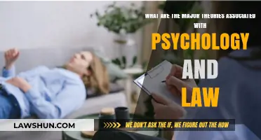 Exploring Key Psychological Theories Shaping Legal Systems and Practices
