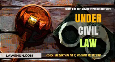 Understanding Civil Law: Key Offense Types and Their Implications