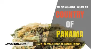 Panama's Marijuana Laws: Understanding Current Regulations and Legal Status