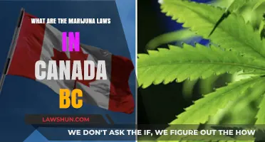 Marijuana Laws in British Columbia: What You Need to Know