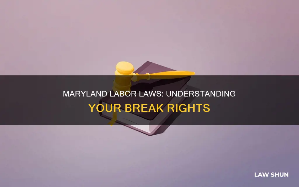 what are the maryland labor laws regarding breaks