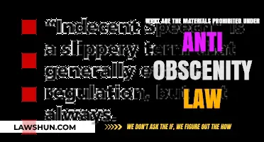 Prohibited Materials: Understanding Anti-Obscenity Law Restrictions and Bans