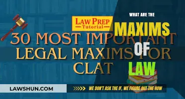 Understanding the Core Principles: The Maxims of Law Explained
