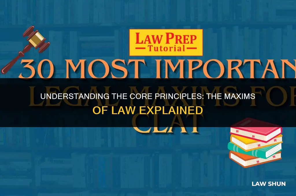 what are the maxims of law