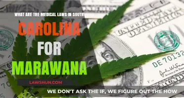 South Carolina's Medical Marijuana Laws: Understanding Legal Regulations and Guidelines