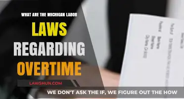 Understanding Michigan's Overtime Pay Rules: A Comprehensive Labor Law Guide