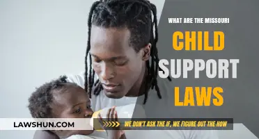 Understanding Missouri Child Support Laws: Guidelines, Calculations, and Enforcement