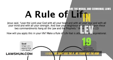Exploring Leviticus 19: Moral and Ceremonial Laws for Modern Faith
