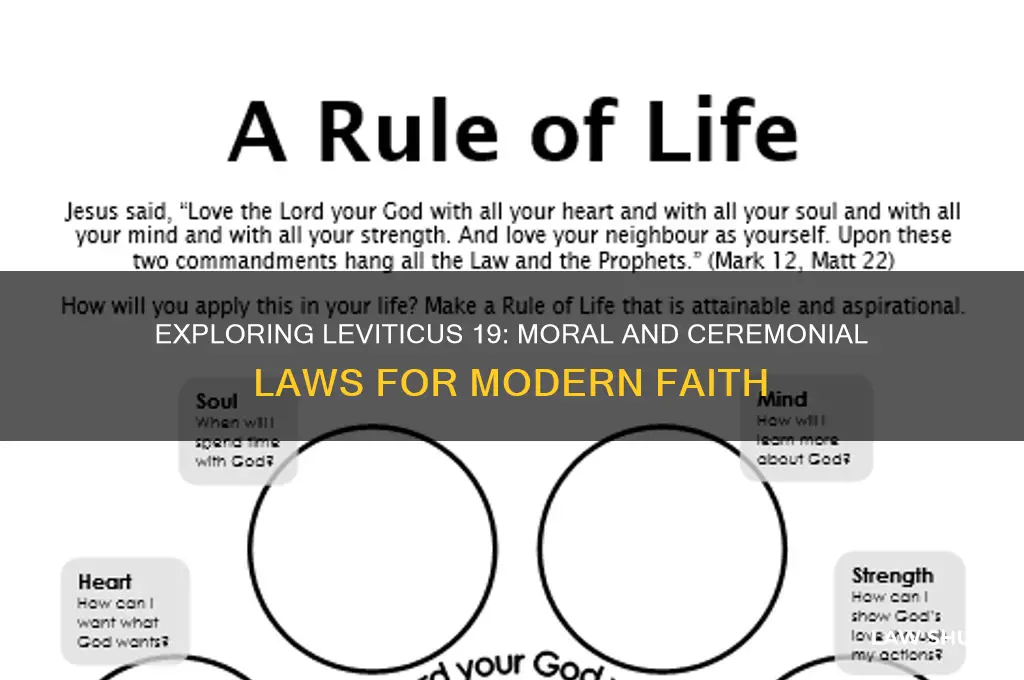 what are the moral and cermonial laws in lev 19