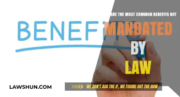 Benefits Beyond the Law: What Extras Are Employees Entitled To?