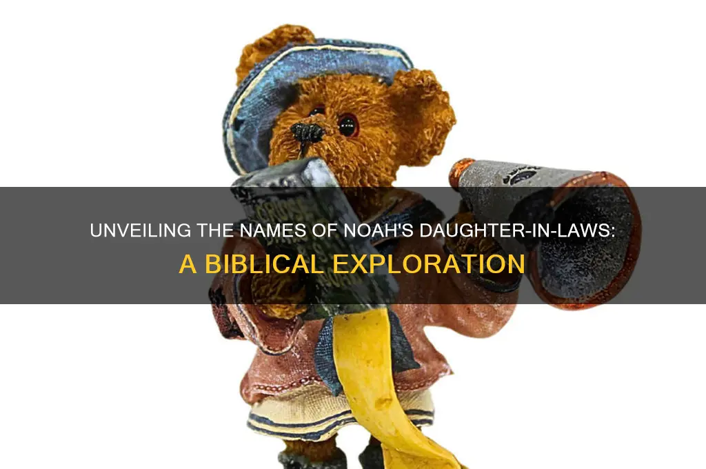 what are the names of noah
