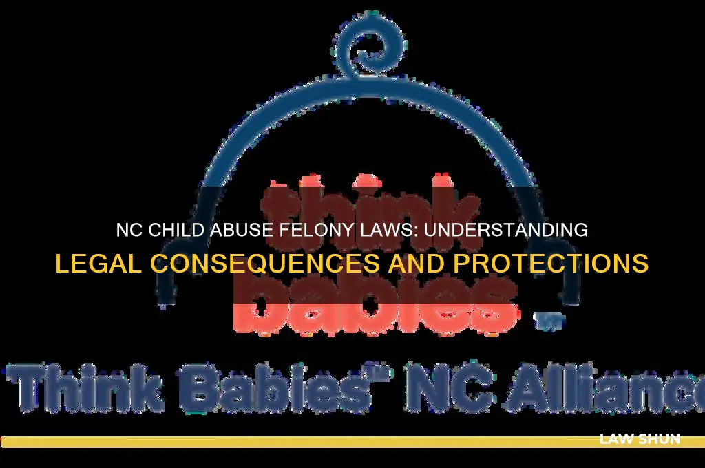 what are the nc laws for child abuse felony