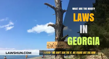Georgia's Nudity Laws: Understanding Public Decency and Legal Boundaries