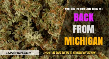 Ohio Laws on Bringing Cannabis from Michigan: What You Need to Know