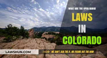 Understanding Colorado's Open Range Laws: Rights, Responsibilities, and Livestock Management