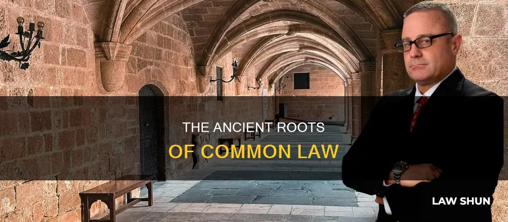what are the origibal common laws