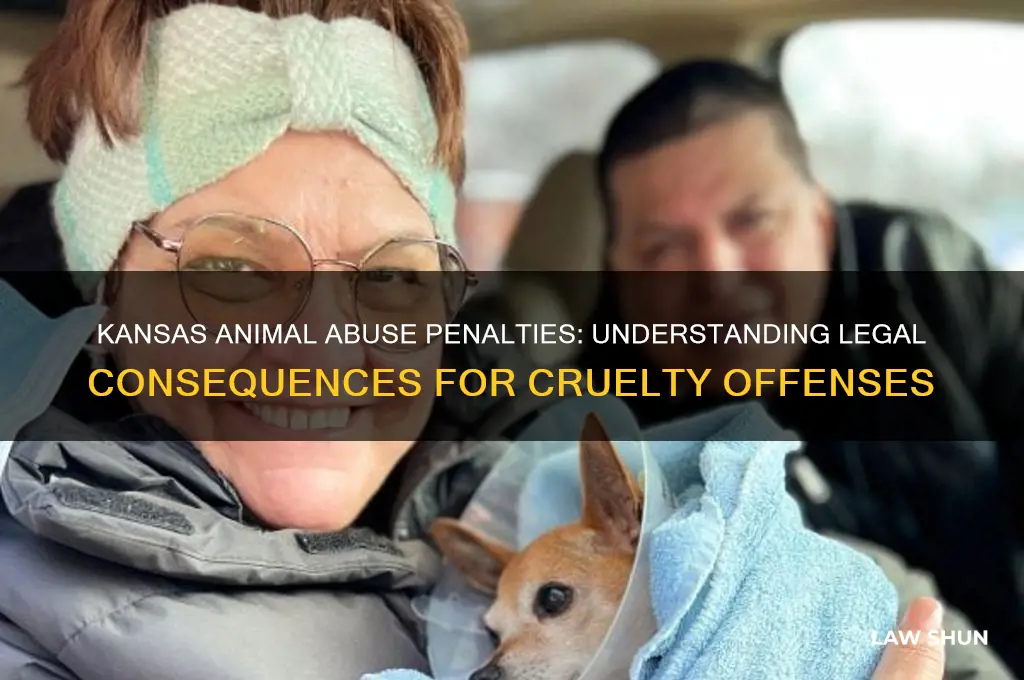 what are the penalties against animal abuse laws in kansas