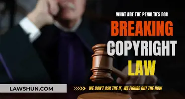 Understanding Copyright Law: Breaking Rules, Facing Consequences