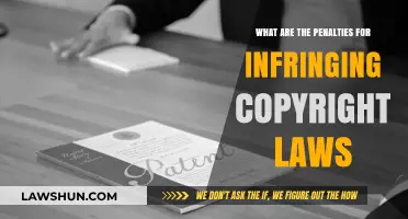 Understanding Copyright Infringement Penalties: Legal Consequences and Fines Explained