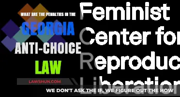 Georgia's Anti-Choice Law: Understanding the Penalties and Legal Consequences