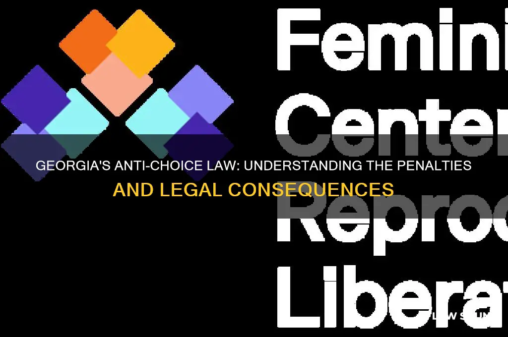 what are the penalties in the georgia anti-choice law