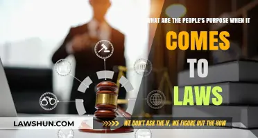 Understanding the Role of Laws: People's Intentions and Societal Goals