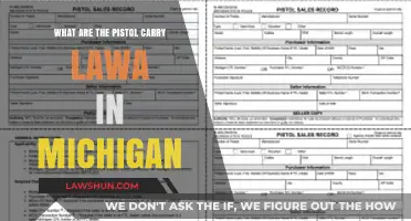 Understanding Michigan's Pistol Carry Laws: A Comprehensive Guide