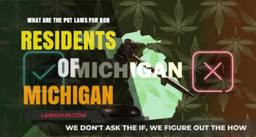 Michigan Cannabis Laws: What Non-Residents Need to Know