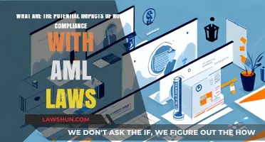 AML Non-Compliance Risks: Legal, Financial, and Reputational Consequences Explained