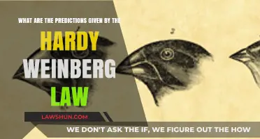 Hardy-Weinberg Law: Predicting Genetic Equilibrium in Populations