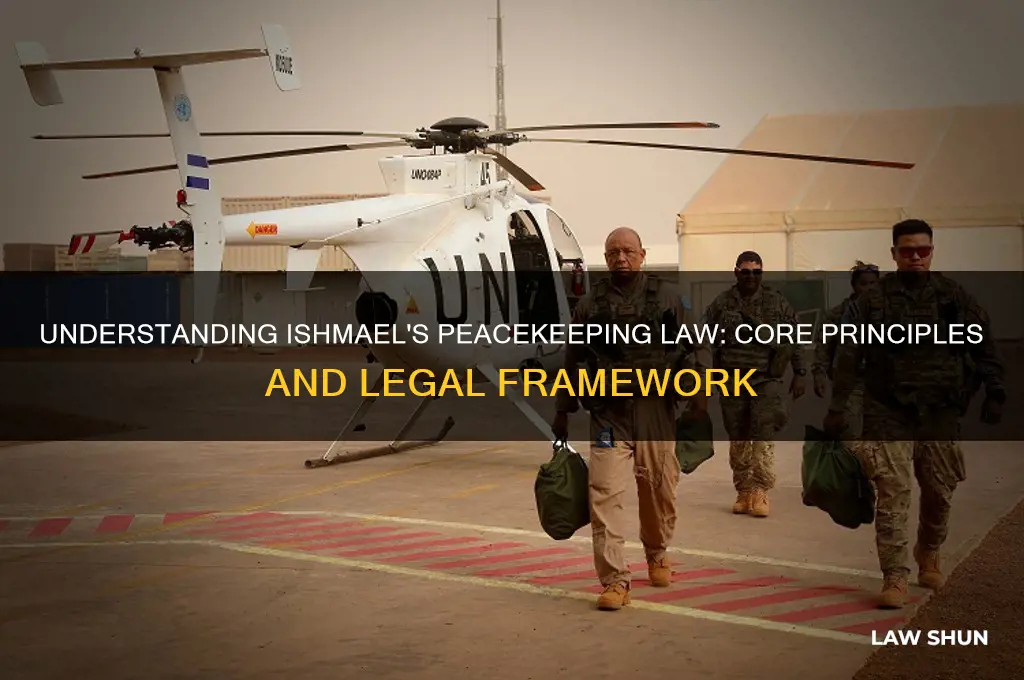 what are the premises of the peacekeeping law in ishmael