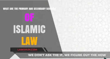 Understanding Islamic Law: Primary and Secondary Sources Explained