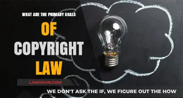 Understanding Copyright Law: Protecting Creativity, Incentivizing Innovation, and Promoting Progress