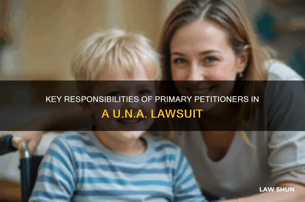 what are the primary petitioners responsibilities una law suit