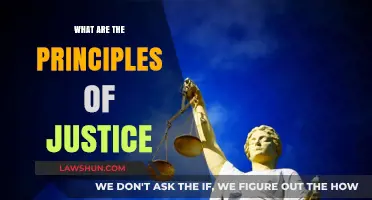 Exploring the Core Principles of Justice: A Comprehensive Guide