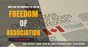 Understanding Legal Principles Governing Freedom of Association Rights