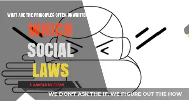 Unspoken Principles Shaping Social Laws: Exploring the Hidden Foundations