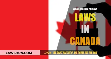 Canada's Privacy Laws: What You Need to Know
