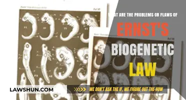 Ernst's Biogenetic Law: Uncovering Critical Flaws and Limitations