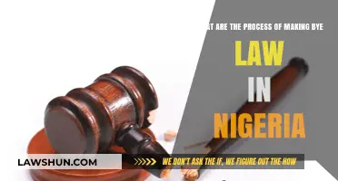 Understanding the Bye-Law Creation Process in Nigeria: A Comprehensive Guide