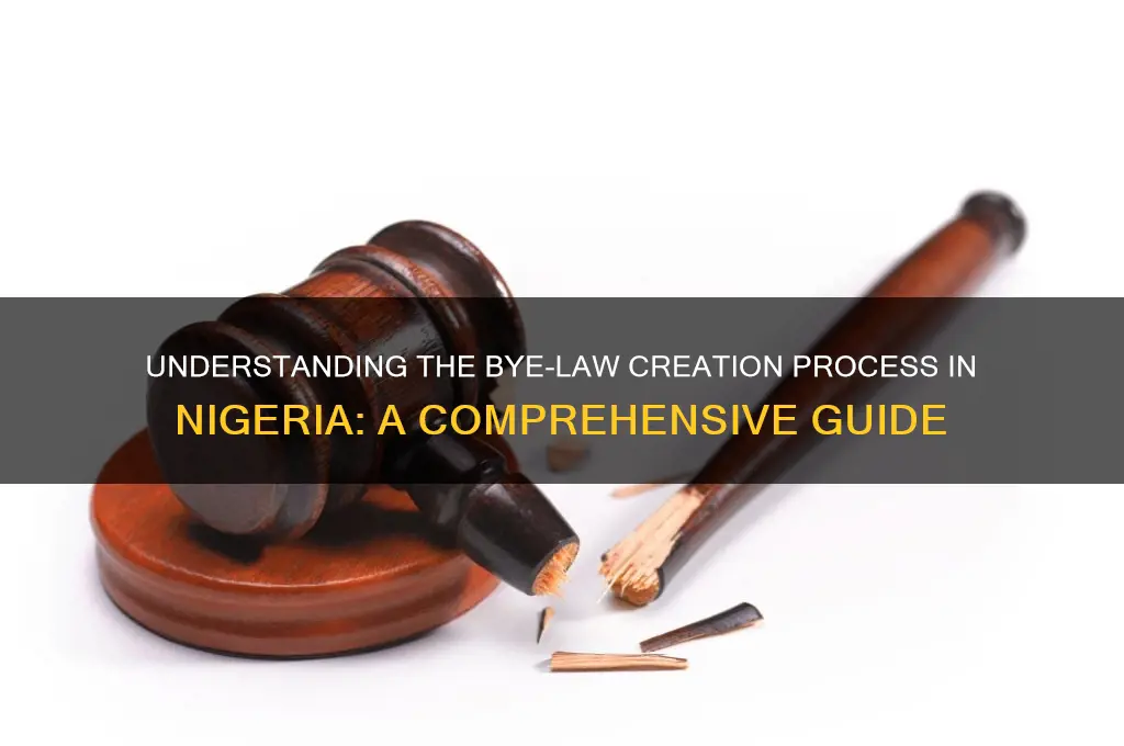 what are the process of making bye law in nigeria
